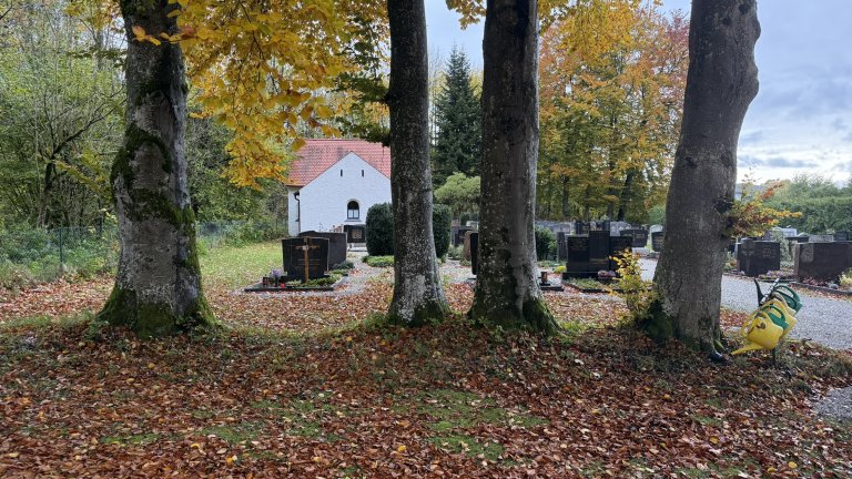 Baumbestattung