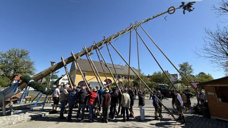 Maibaum_2 Maibaum_2