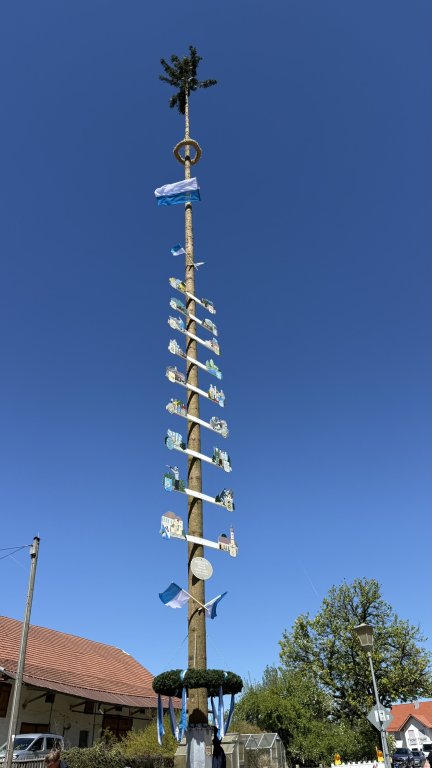 Maibaum_3 Maibaum_3