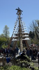 Maibaum_1